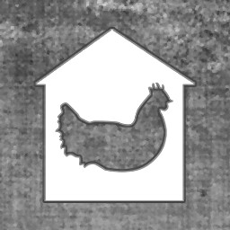 Chickens need a home too