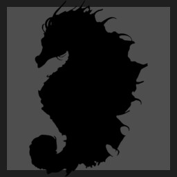 Extraordinary Eel Expert