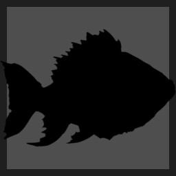 Rare Species Revealer