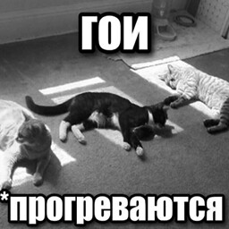 ГОИ