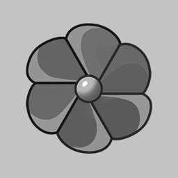 走马观花