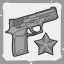 P250 Expert