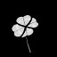 Today Is Your Lucky Day!