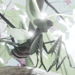 Mantis Metamorphosis (Female)