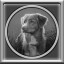 All Dogs 2 Puzzles Complete!
