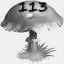Mushrooms Collected 113