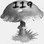 Mushrooms Collected 119