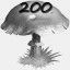 Mushrooms Collected 200