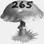 Mushrooms Collected 265