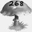 Mushrooms Collected 268
