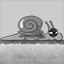 Snail