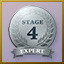 Stage 4 Expert
