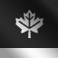 Environment (Silver)