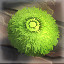 Level 9