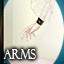 Arms