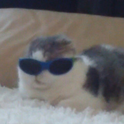 Deal with it
