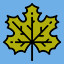Sugar Maple
