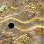 Level 26