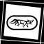 X-Ray Achievement