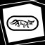 X-Ray Achievement