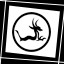 X-Ray Achievement