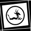 X-Ray Achievement