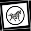 X-Ray Achievement