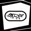 X-Ray Achievement