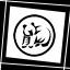 X-Ray Achievement
