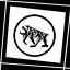 X-Ray Achievement