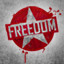 Freedom Singleplayer Silver Medal