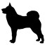 Dog #1