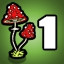 Mushrooms I