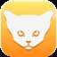 Abyssinian