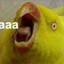 aaaaa