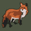 Red Fox