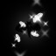 Moth Trove