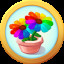 Double Rainbow Flower