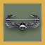 Air Assault Badge