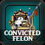 Convicted Felon