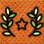 Bronze Star Jaragua
