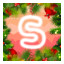 s