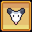 Opossum Expert