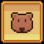Wombat Expert