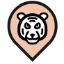 Oeil du tigre