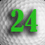 Level 24