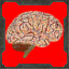 Cyber Brain Mentor