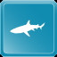 Blacktip Reef Shark