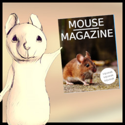 Mouse Magazine #1