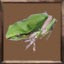 Field of flowers: discovered item